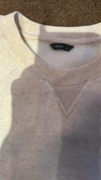 Herentrui, Kleding | Heren, Truien en Vesten, Hema, Maat 52/54 (L), Beige, Ophalen of Verzenden