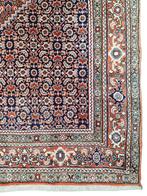 Handgeknoopt Persian Bidjar Tekab tapijt medallion 210x305cm, Persian Perzisch vintage oosters hype, Crème, Gebruikt, 200 cm of meer