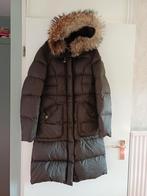 Winterjas Parajumpers, maat XL, Maat 46/48 (XL) of groter, Ophalen of Verzenden, Groen, A