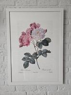 ☆OPRUIMING☆ Twee Oude Bloemen Prenten, Antiek en Kunst, Curiosa en Brocante, Ophalen