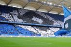 Duitse voetbaltickets | Hamburger SV, Losse kaart, Eén persoon, November, Buitenland