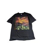 90s vintage Eagles "Hell Freezes Over Tour" T-shirt, Vintage, Vintage, Ophalen of Verzenden, Gedragen