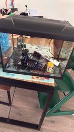 Aqarium, Dieren en Toebehoren, Vissen | Aquaria en Toebehoren, Ophalen, Zo goed als nieuw, Leeg aquarium