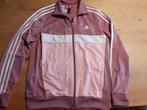 adidas trainingspak 164, Kinderen en Baby's, Ophalen, Adidas, Meisje, Sport- of Zwemkleding