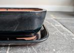 Bonsai pot met schotel 21x16x8, Tuin en Terras, Bloempotten, ., Nieuw, Ophalen of Verzenden, .
