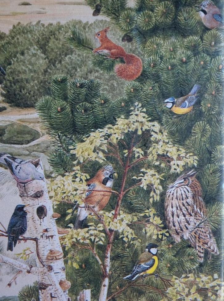Het Noordhollands duinreservaat - puzzel 500 st, Hobby en Vrije tijd, Denksport en Puzzels, Gebruikt, Legpuzzel, 500 t/m 1500 stukjes