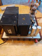 Buizen versterker monoblock, Audio, Tv en Foto, Versterkers en Receivers, Gebruikt, Ophalen, Overige merken, Minder dan 60 watt