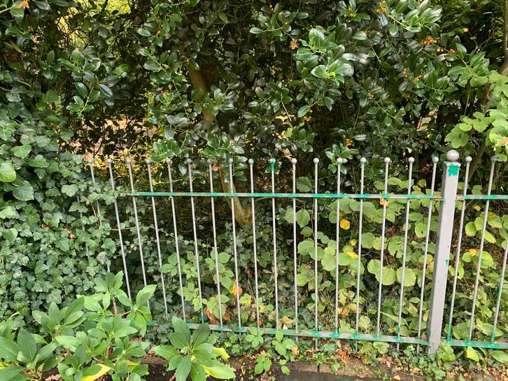 Sierhekwerk met poort, Tuin en Terras, Tuinhekken en Hekwerk, Gebruikt, Sierhekwerk, IJzer, Met poort, Ophalen