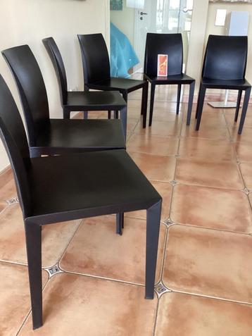 Prachtige Poltrona Frau stoelen model Lola(set6)zeldzaam beschikbaar voor biedingen