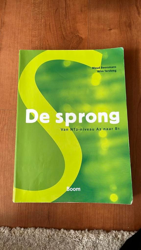 Maud Beersmans - De sprong, Boeken, Schoolboeken, Zo goed als nieuw, Nederlands, Overige niveaus, Ophalen of Verzenden