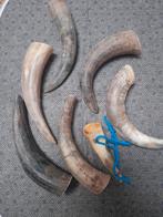 Te koop hoorns bieden, Ophalen, Zo goed als nieuw, Paard, Beeldje of Figuurtje