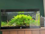 Mooi aquarium te koop! 180 liter, 103x43x52 cm, Dieren en Toebehoren, Vissen | Aquaria en Toebehoren, Ophalen, Zo goed als nieuw