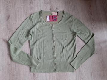 Nieuw+kaartje!BANNED/Prachtig groen&heerlijk zacht vestje M beschikbaar voor biedingen