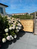 Te koop mooie grote houten plantenbak op wielen., Tuin en Terras, Ophalen, Gebruikt, 100 cm of meer, Tuin