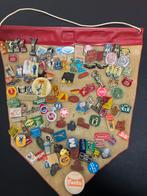 Verzameling Speldjes/Pins - Diverse Onderwerpen, Verzamelen, Speldjes, Pins en Buttons, Ophalen of Verzenden, Gebruikt, Overige onderwerpen