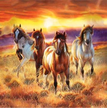 NIEUW diamond painting 40x40 cm Paarden in het veld SEOS beschikbaar voor biedingen
