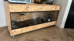 Terrarium voor reptielen, Ophalen, Terrarium of Paludarium