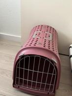 Reismand kat of hondje, Poes