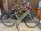 Nette Gazelle Heavy Duty Damesfiets | 54cm 3 versnellingen, Ophalen, Versnellingen, Gazelle, 53 tot 56 cm