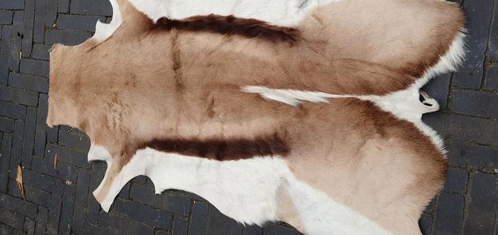 Echt Springbokvel uit Namibië, Huis en Inrichting, Stoffering | Tapijten en Kleden, Gebruikt, 50 tot 100 cm, 50 tot 100 cm, Overige vormen