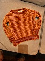 Leuke trui voor kinderen, maat 104, Kinderen en Baby's, Kinderkleding | Maat 104, Ophalen of Verzenden, Zo goed als nieuw, Jongen of Meisje