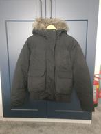 Winterjas maat 38 - HM LOGG type bomberjack, Maat 38/40 (M), H&M, Zwart, Ophalen of Verzenden