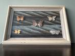 Opgezette vlinders in een oude 3d lijst, Ophalen of Verzenden, Gebruikt, Insect, Opgezet dier