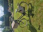 Sparta Pick Up met grote mand, Ophalen, Sparta, 53 tot 56 cm, Versnellingen