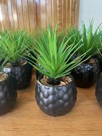 Zwarte bloempotjes inclusief kunstplantje, Ophalen, Zo goed als nieuw, Binnen