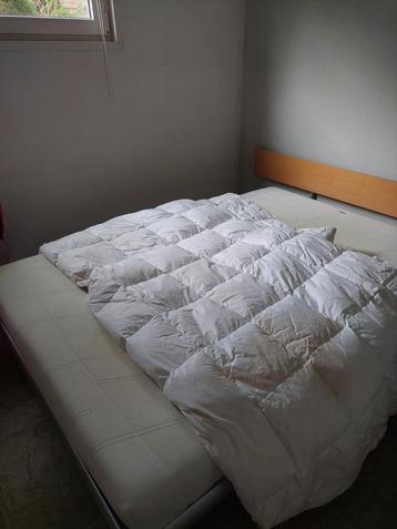 2persoons bed met rugplank