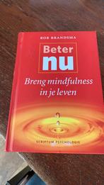Rob Brandsma - Beter nu, Ophalen of Verzenden, Zo goed als nieuw, Rob Brandsma