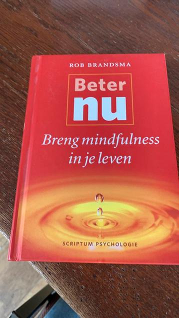 Rob Brandsma - Beter nu beschikbaar voor biedingen