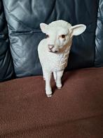 Polystone schaap 20 cm, Ophalen