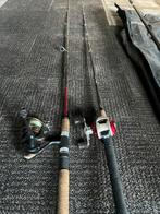 Complete visuitrusting: roofvis, karper, accessoires, Ophalen, Gebruikt, Complete set