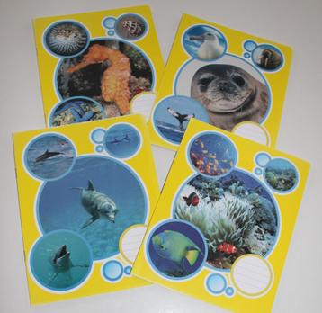 NIEUW Set/4 schrift schriften schrijfschrift schoolschriften beschikbaar voor biedingen