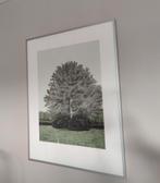 Sees Vlag - Park, Antiek en Kunst, Ophalen of Verzenden