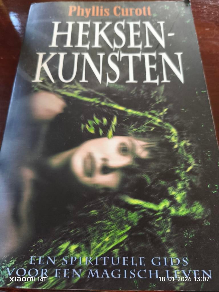 Heksenkunsten - Phyllis Curott, Boeken, Ophalen of Verzenden, Gelezen, Phyllis Curott