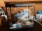 30 liter aquarium, Ophalen, Zo goed als nieuw, Leeg aquarium