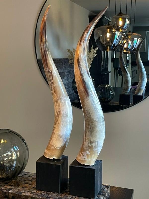Gepolijste buffelhoorn decoratie - 85 cm, Antiek en Kunst, Ophalen of Verzenden