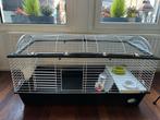 Konijnenkooi | Ferplast Casita 120, Dieren en Toebehoren, Ophalen, 110 cm of meer, Minder dan 65 cm