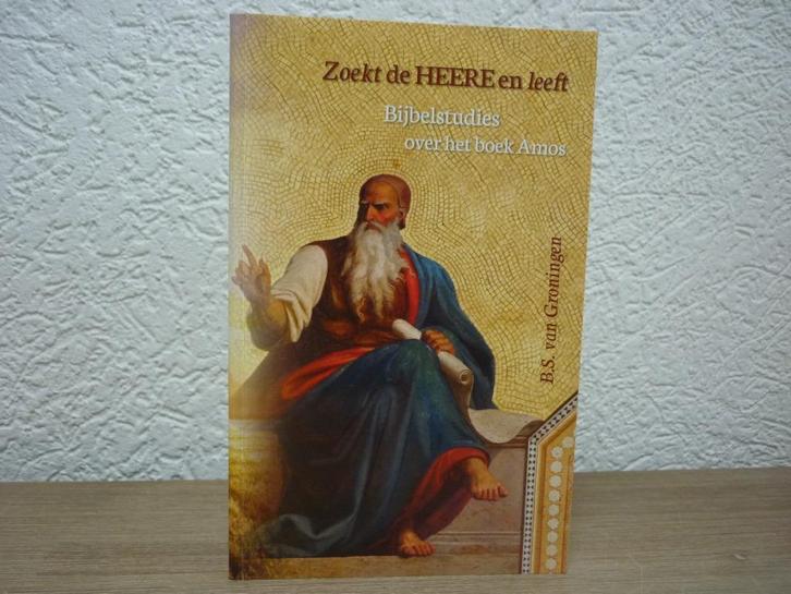 B.S. van Groningen - Zoekt de Heere en leeft, Boeken, Godsdienst en Theologie, Nieuw, Christendom | Protestants, Ophalen of Verzenden