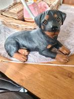 Rottweiler beeld, Ophalen of Verzenden, Zo goed als nieuw