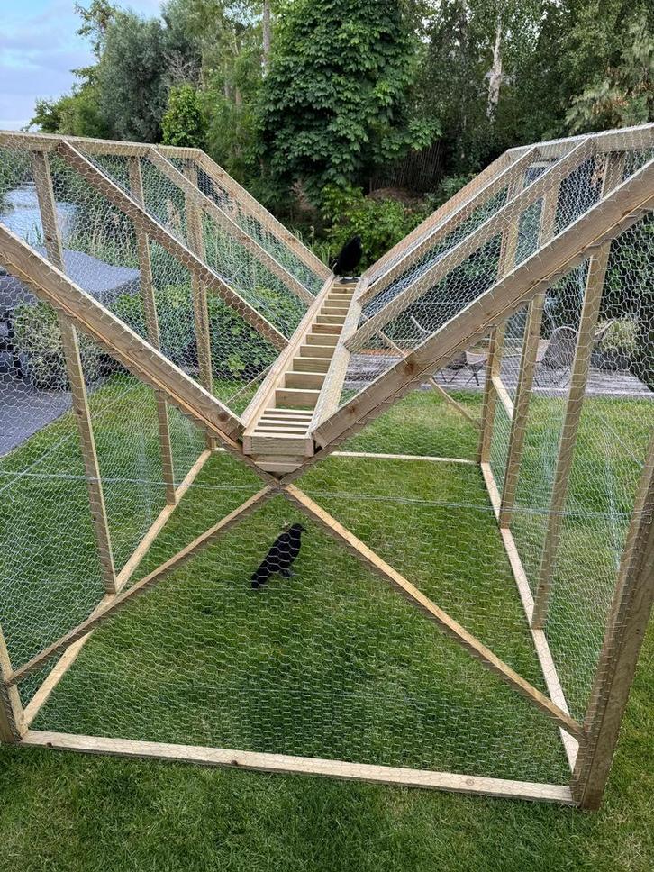 Kraaienvangkooi professioneel model, Dieren en Toebehoren, Vogels | Hokken en Kooien, Vogelkooi, Hout, Ophalen