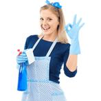 Ik zoek dame voor huishoudelijk als schoonmaakhulp enz, Variabele uren, Overige niveaus, Starter, Overige vormen