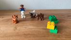 Lego duplo dierenverzorging 5646, Kinderen en Baby's, Speelgoed | Duplo en Lego, Ophalen, Zo goed als nieuw, Complete set, Duplo