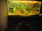 Aqaurium met kast, Ophalen of Verzenden, Zo goed als nieuw, Leeg aquarium
