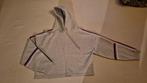 Trui Tommy Hilfiger XS, Kleding | Dames, Ophalen, Zo goed als nieuw, Maat 34 (XS) of kleiner, Grijs