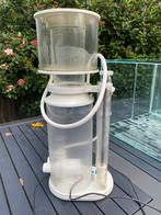 Deltec 1000i, Vis, Zoutwatervis