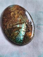 Fraaie vintage broche, handgeschilderd op abalone schelp, Overige materialen, 4 tot 7 cm, Verzenden, Nieuw