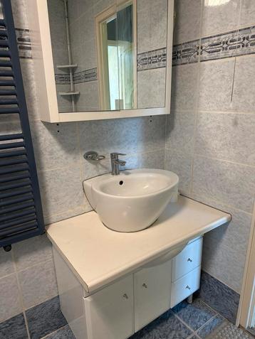 Badkamermeubel met wastafel en spiegelkast beschikbaar voor biedingen